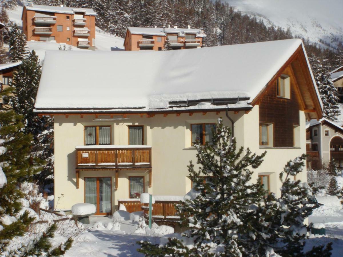 Crusch 32 Daire Samedan Dış mekan fotoğraf